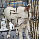 묵동-055 이미지