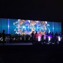 일강정의날 행사후기.2023.김영관센터종합운동장.제주도 축제 리뷰.