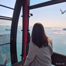 경상누리 | 부산 송도 해상 케이블카 할인받고 타는 방법, 후기
