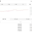 화이트벨 이미지