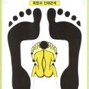 봉영로1770번길 이미지