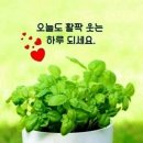 저녁 정리수납 이미지