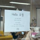 [일산 사진관 추천] &#39;너를 위한 사진관&#39; 애견동반 내돈내산 후기 / 9컷 가격 구성 정보