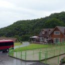 소망켄넬 이미지