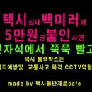 택시 블랙박스 - 택시 실내 백미러에 5만원권 붙인 사연 이미지