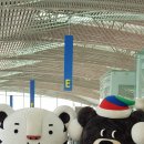 창용호키태권도 이미지