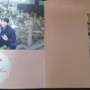 캣앤뷰티 네이버블로그