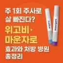 회생약국 | 위고비 vs 마운자로 뭐가 다를까? 처방 방법·병원 찾기 완벽 가이드