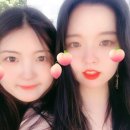 영포차 네이버블로그