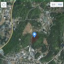 향동1로 400m 이미지
