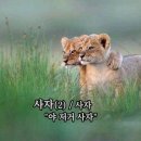 모비맨 이미지