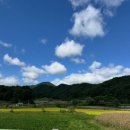 씨유 파주법흥제일 | 아이들이 좋아하는 키즈 캠핑장 영월 법흥캠핑장 후기