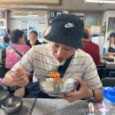 울릉도 물회 맛집 &#39;신비섬횟집&#39; 주차/웨이팅/대만족후기