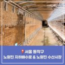 야간도심테마 | 서울 가을 나들이 야간 야외 데이트 가볼만한곳 다크투어리즘 체험 노량진 지하배수로 수산시장