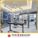 도시 강아지 네이버블로그
