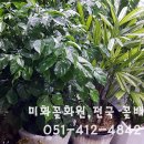 미화화원 이미지