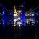 녹차분재로 이미지