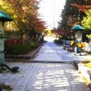 짬짬이 작은도서관 이미지