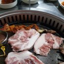 토종도새기