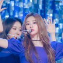 위즈밍