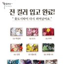 화연양화