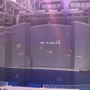 오션 아레나 이미지