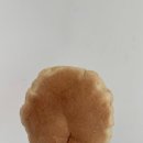 브레드(이민영베이커리)