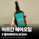 우디랜드 | 블라세아 아르간오일 솔직 사용후기, 헤어에센스 손상모 우디 잔향