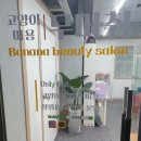 파주고양이미용 반하나캣 이미지