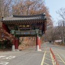앵무봉 이미지