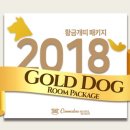 gold dog 이미지