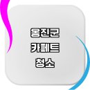인천 옹진군 근처 카페트 청소 세탁 잘하는곳 추천 전문업체 타일 방수 케어 카펫트 비용 대형