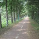 서면 당림2리 이미지