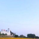 보라꽃화원 이미지