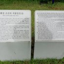 오산리 석불입상 이미지