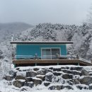 트리하우스민박 이미지