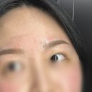 리유브로우