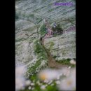 흥정계곡캠핑700 | 강원도 평창 대관령 숙소 리조트 캠핑 추천 흥정계곡캠핑700 깨끗하고 조용한 캠핑장