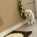 호동이농장 이미지