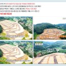 라포레공인중개사사무소 이미지