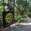 여강길(5코스 황학산길) 이미지