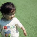 하이플레임 스테이 이미지