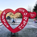 1999 | 겨울방학 초등학생 아이랑 갈만한곳 경기도 포천 예술정원1999 후기