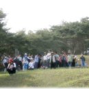 삼한국대부인순흥안씨묘 이미지