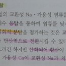 황산의 caco3용해 이미지