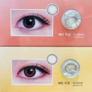 으뜸50안경 송파점 이미지