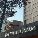 아리아호텔 | 조선호텔 아리아 평일 디너 후기