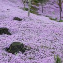 원연장마을 이미지