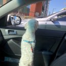 위례나무동물병원 이미지