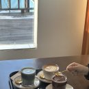 우리콜닷컴 | 그랜드 하얏트 서울, 킹룸 후기 ㅣ대구 시골쥐 이야기.